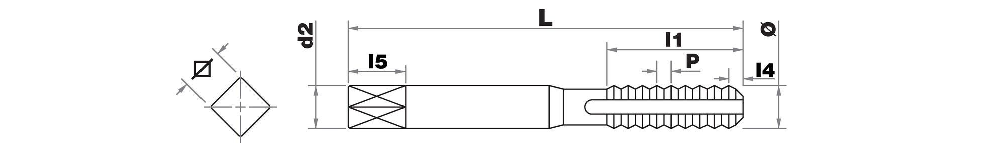 Taraud machine et Foret Multi-applications [HSS-GUN-DIN371-6H] + [HSS-TiN-DIN338-Affûtage en croix-Queue 3 méplats] TECHNIC (Etui plastique)